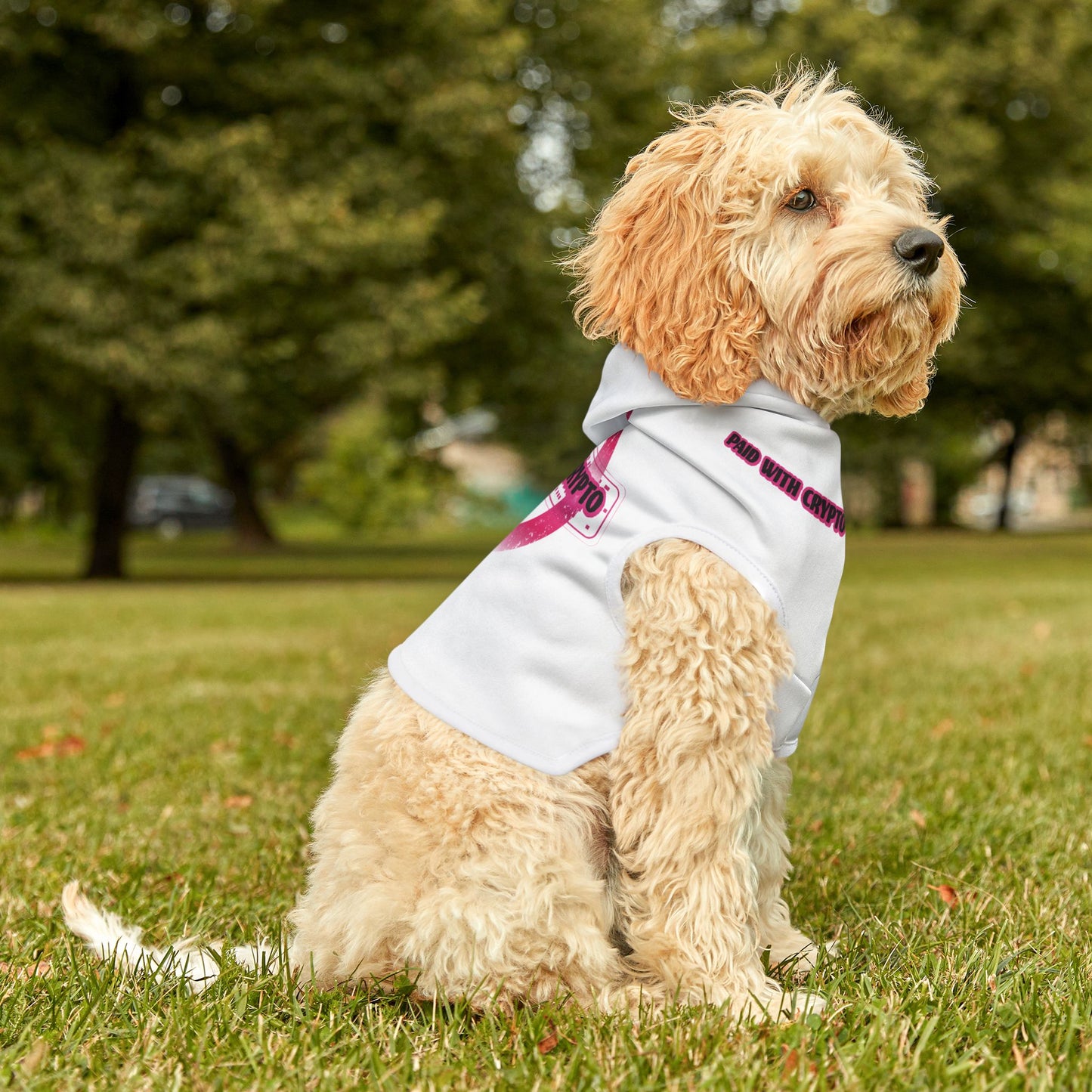 White Custom Design Dog Hoodie Crypto Bitcoin Transactions Only