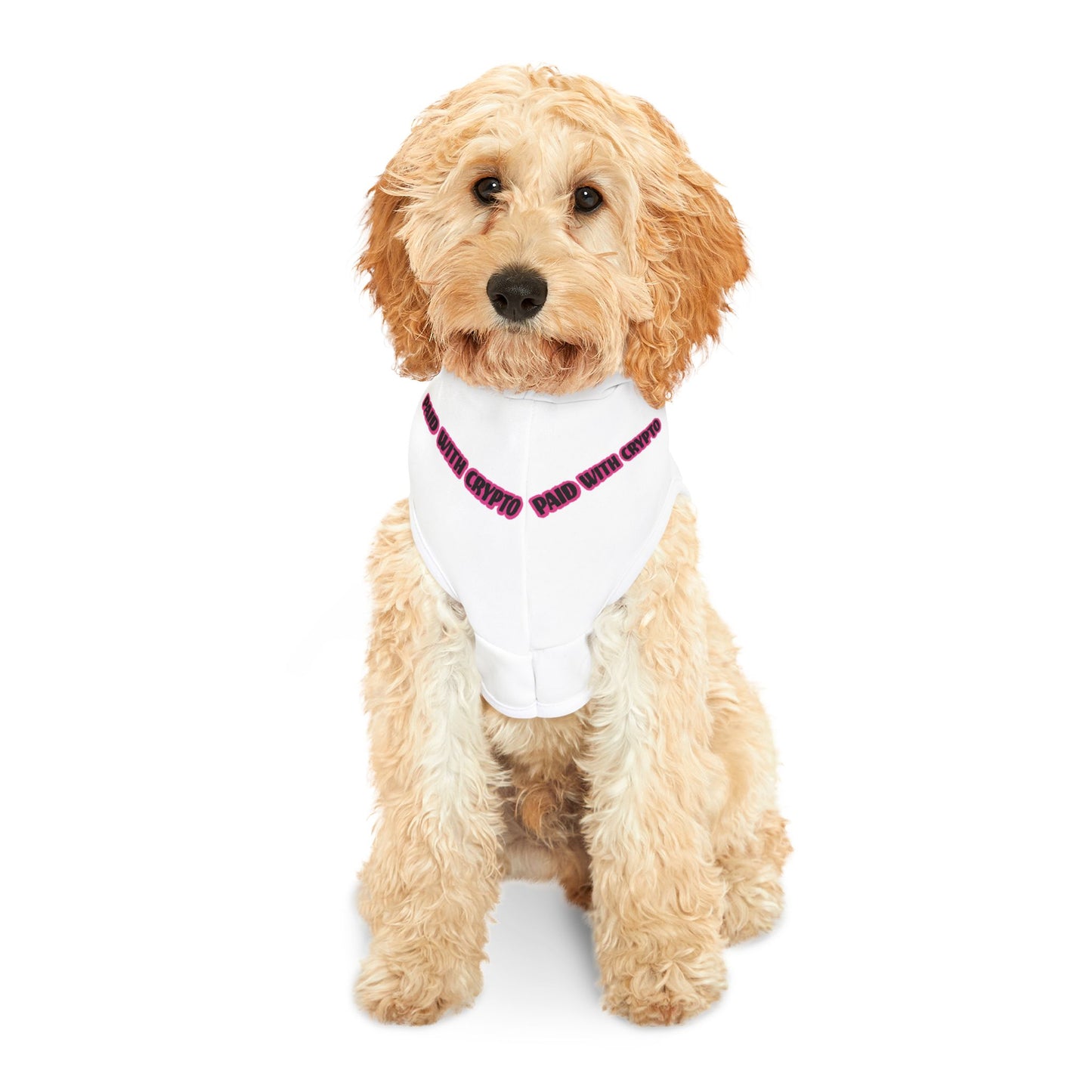 White Custom Design Dog Hoodie Crypto Bitcoin Transactions Only