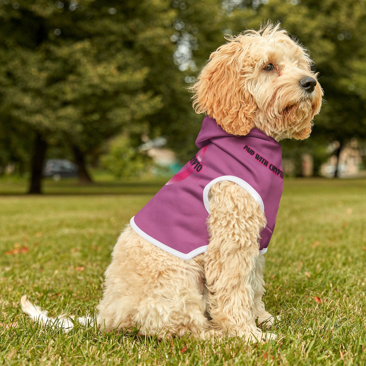 Cute Custom Designer Pink Dog Hoodie Crypto Bitcoin Blockchain Only