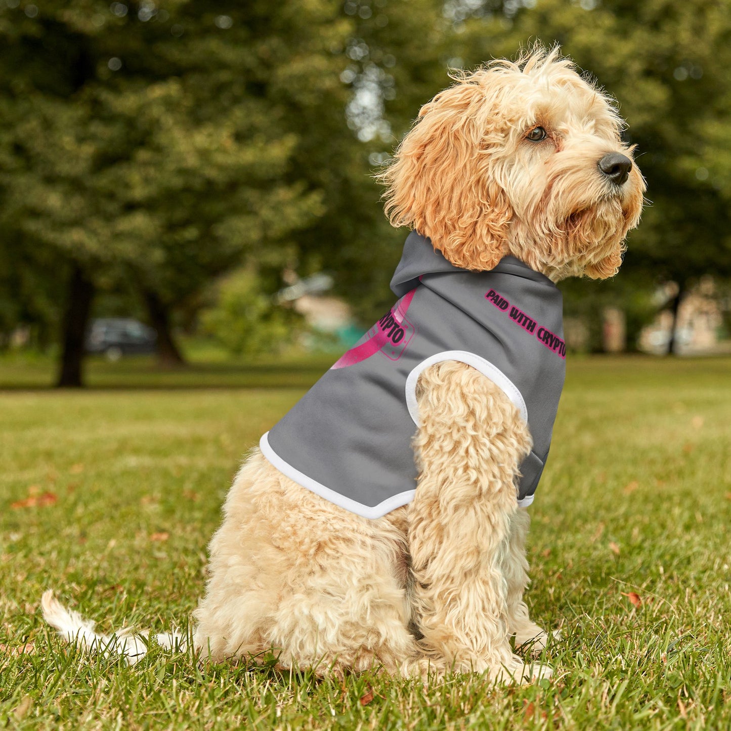 Grey Custom Designer Dog Hoodie Bitcoin Crypto Only Transaction
